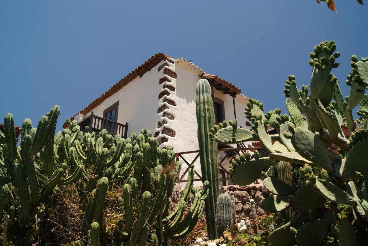 Casa Rural El Olivar La Almazara Santa Lucia Exterior foto